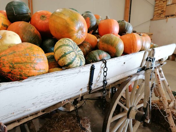 dyne na drevenom historickom vozíku