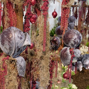 Kapusta ako súčasť výzdoby