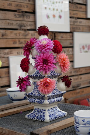 krása menom georgína