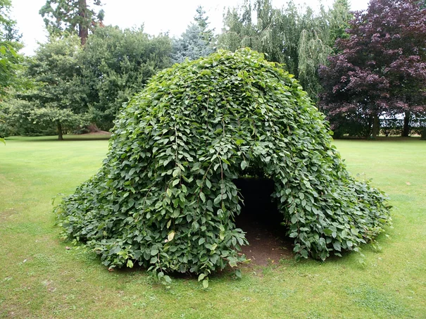 príridný kríkový bunker