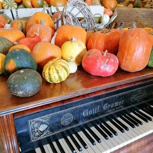 rôzne druhy tekvíc