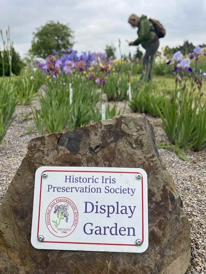 spoločnosť na ochranu historických odrôd kosatcov