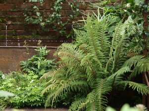 vodné prvky v záhrade