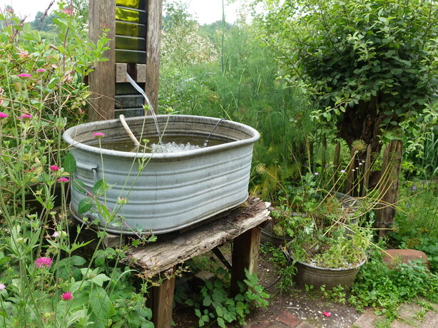 vodný prvok v prírodnej záhrade