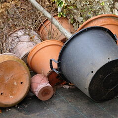 zazimovanie rastlín v kvetináči naležato