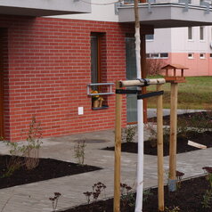 zazimovanie stromčekov a rastlín